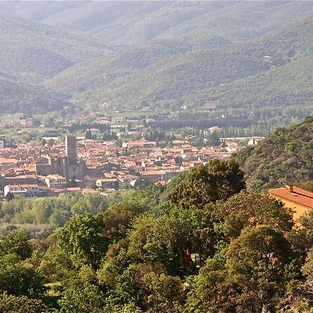 Gite Des Orgues De La Sybille Agave Canigou Bagian luar foto