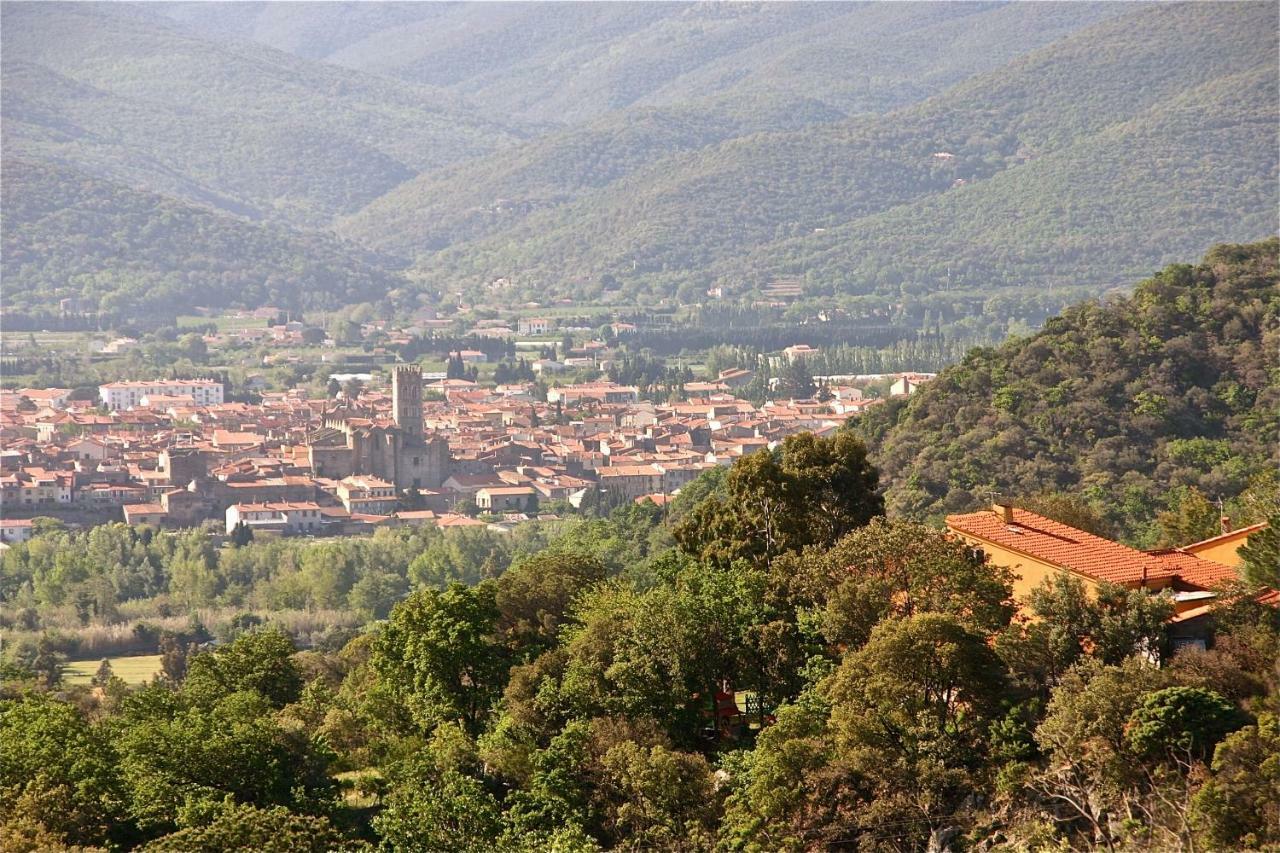 Gite Des Orgues De La Sybille Agave Canigou Bagian luar foto